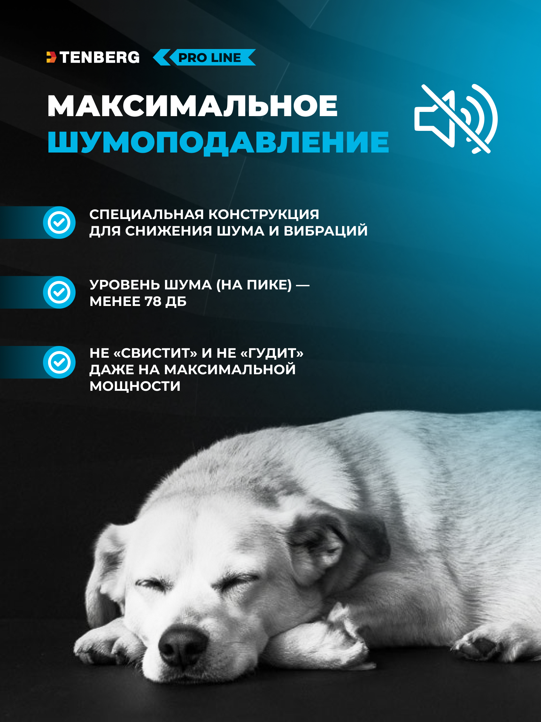 Фен-компрессор TENBERG Sirius Pro - фото 9