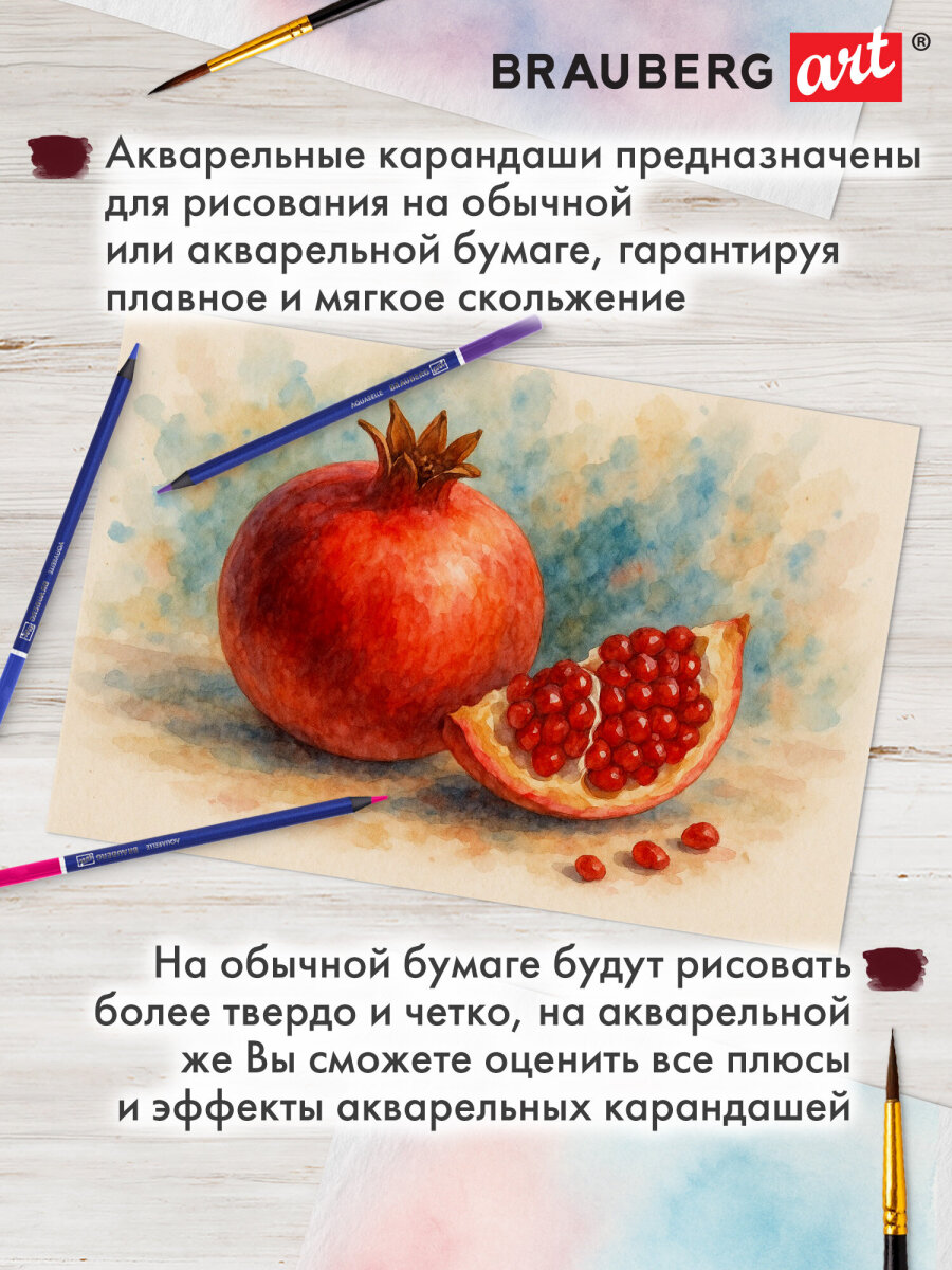 Карандаши акварельные Brauberg 24 шт. - фото 8