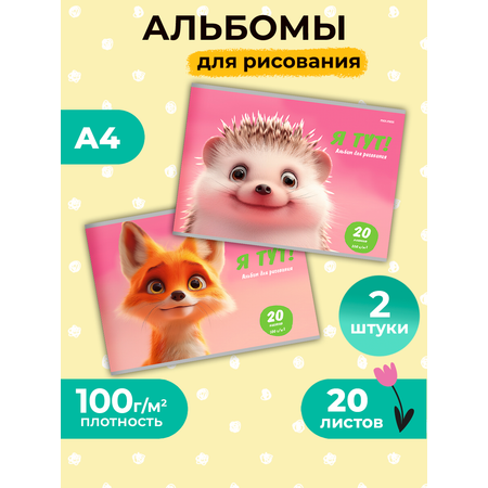 Альбом Prof-Press А4 20 лист. 2 шт.