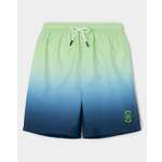 Шорты купальные Futurino