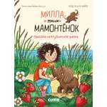 Книга Clever чтение