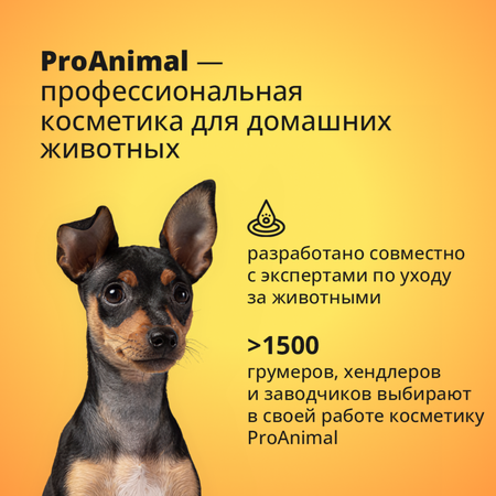 Шампунь с ароматом лимон-лайм ProAnimal универсальный домашний увлажняющий для собак