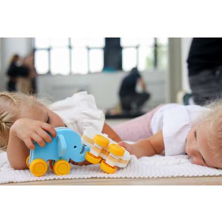 Каталка ElBascoToys
