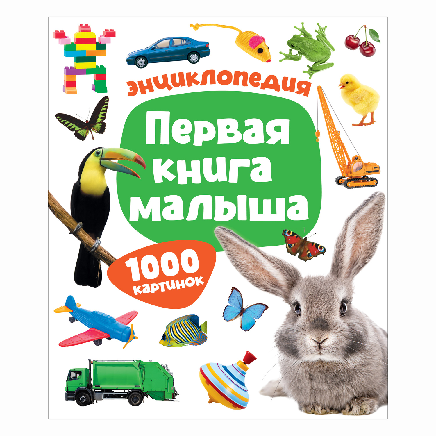 Книга Росмэн Первая книга малыша Энциклопедия 1000 картинок - фото 1