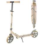 Самокат Рыжий кот двухколесный