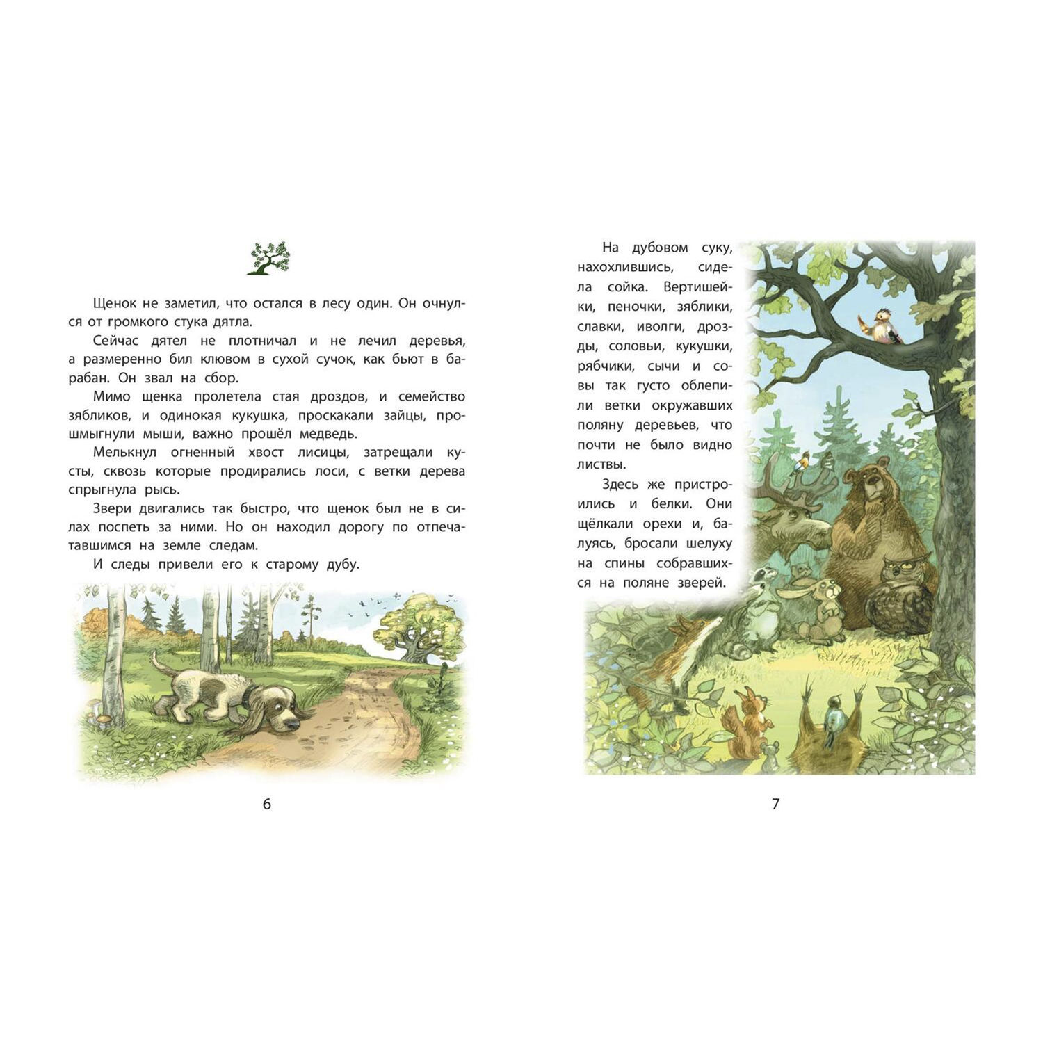 Книга ЭНАС-книга Как Витя с лесом поссорился - фото 3