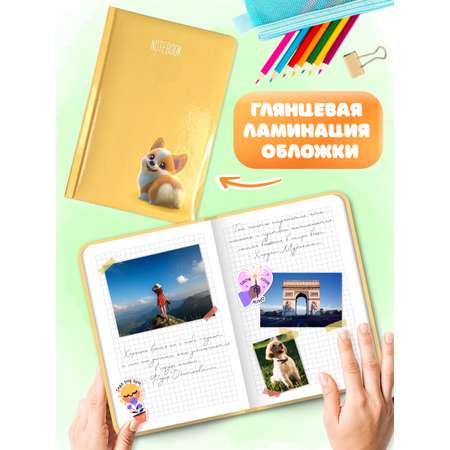 Блокнот Проф-Пресс Корги. в клетку А5 48 лист.