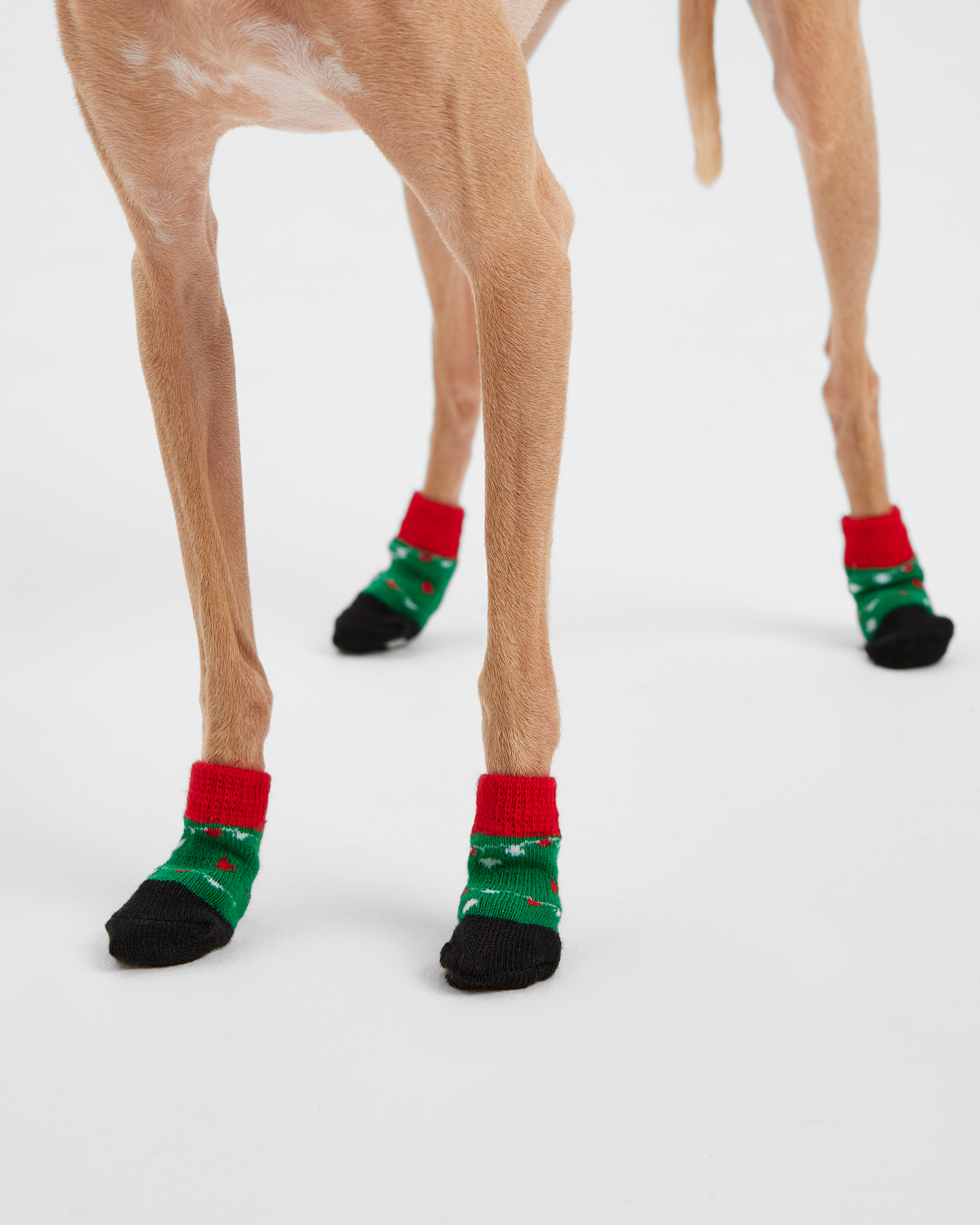 Носочки для собак и кошек Зоозавр 4 шт - фото 6