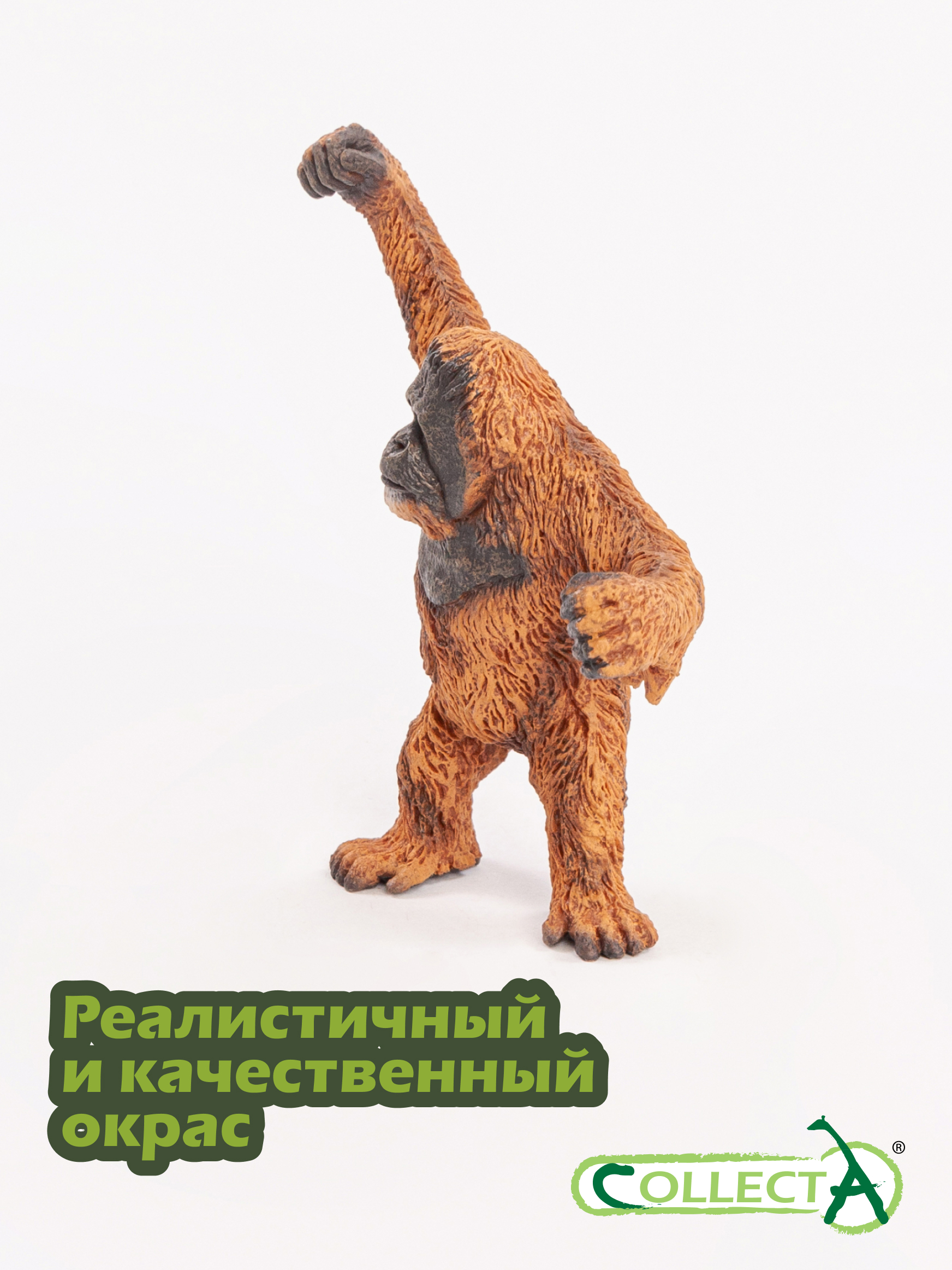 Фигурка Collecta Орангутан - фото 4