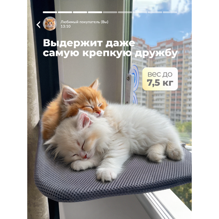 Гамак для кошек SuperPets на окно подвесной на присосках