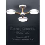 Светодиодный светильник Wedo Light потолочный 60W белый LED