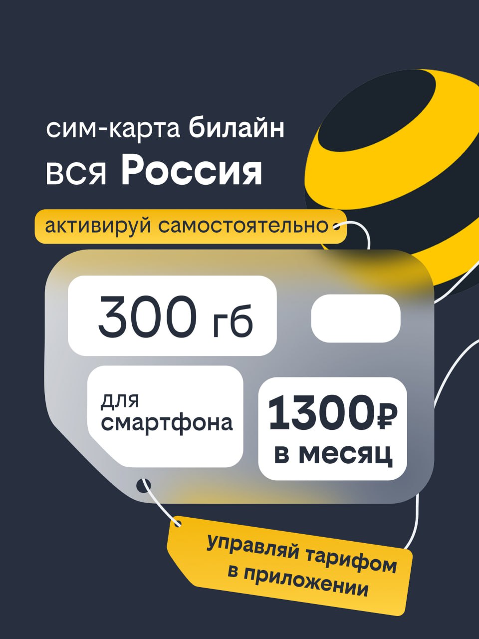 Сим-карта Билайн, Вся Россия, 300 ГБ - фото 1
