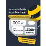 Сим-карта Билайн, Вся Россия, 300 ГБ