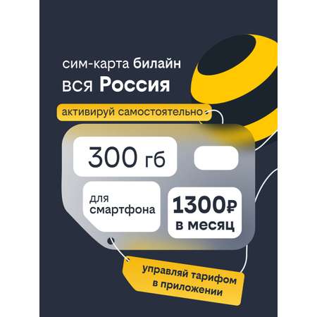 Сим-карта Билайн, Вся Россия, 300 ГБ