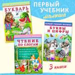 Комплект из 3 книг Фламинго Первый учебник малыша Развивающие пособия для детей – Подготовка к школе