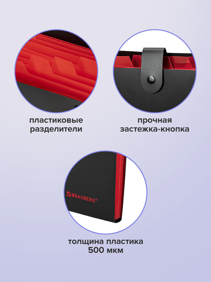 Папка-органайзер Brauberg А4 - фото 4