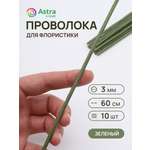 Набор для творчества Astra Craft плетение проволока 3 мм 60 см 10 шт