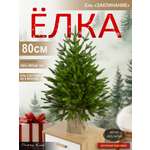 Ель Заклинание Поезд Ёлок литая 80 см
