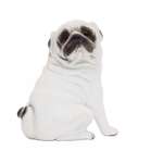 Фигурка Детское Время Белый Мопс (собака, сидит)