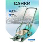 Санки NIKA NIKKI