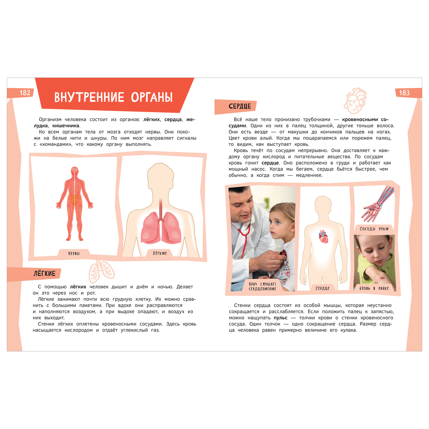 Книга Росмэн Подарок маленькому школьнику Энциклопедия - фото 4