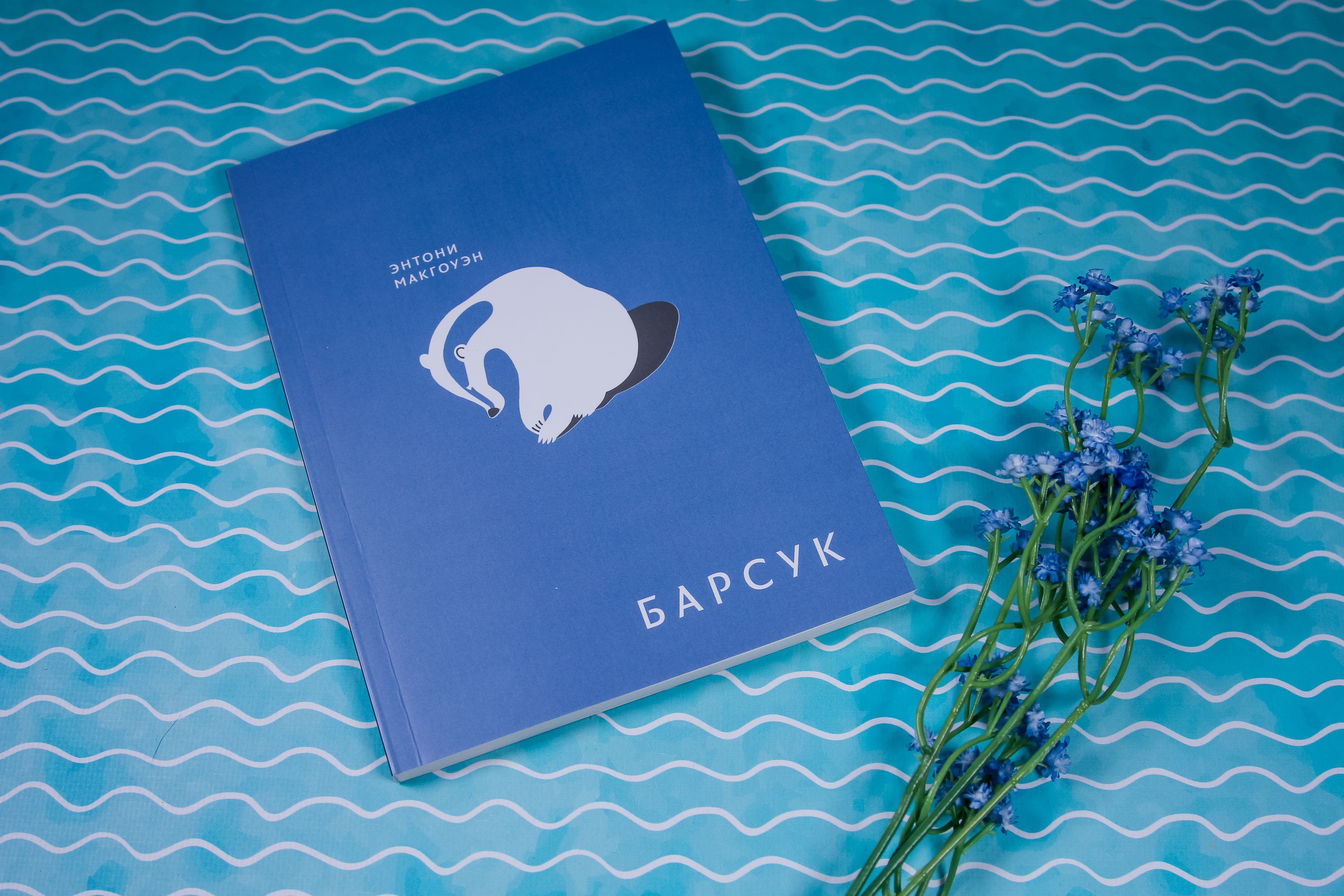 Книга Волчок Барсук - фото 4
