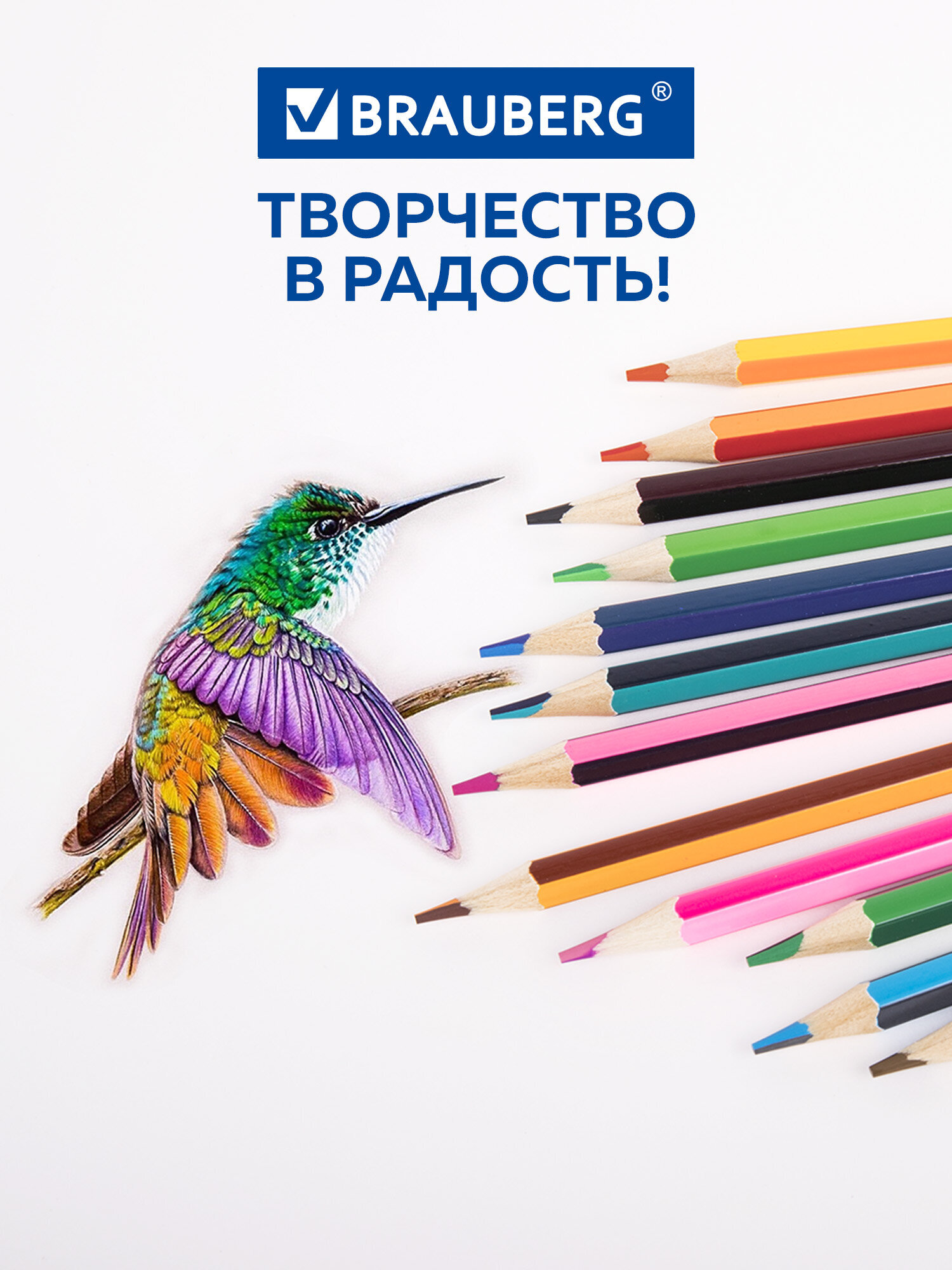 Карандаши цветные Brauberg 24 шт. - фото 6