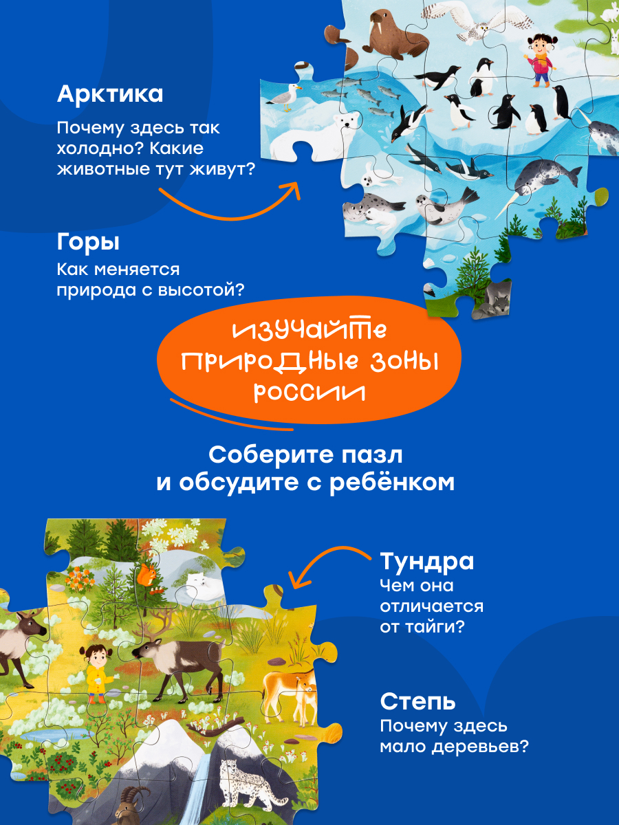 Пазл Харди Гарди Природные зоны России - фото 7