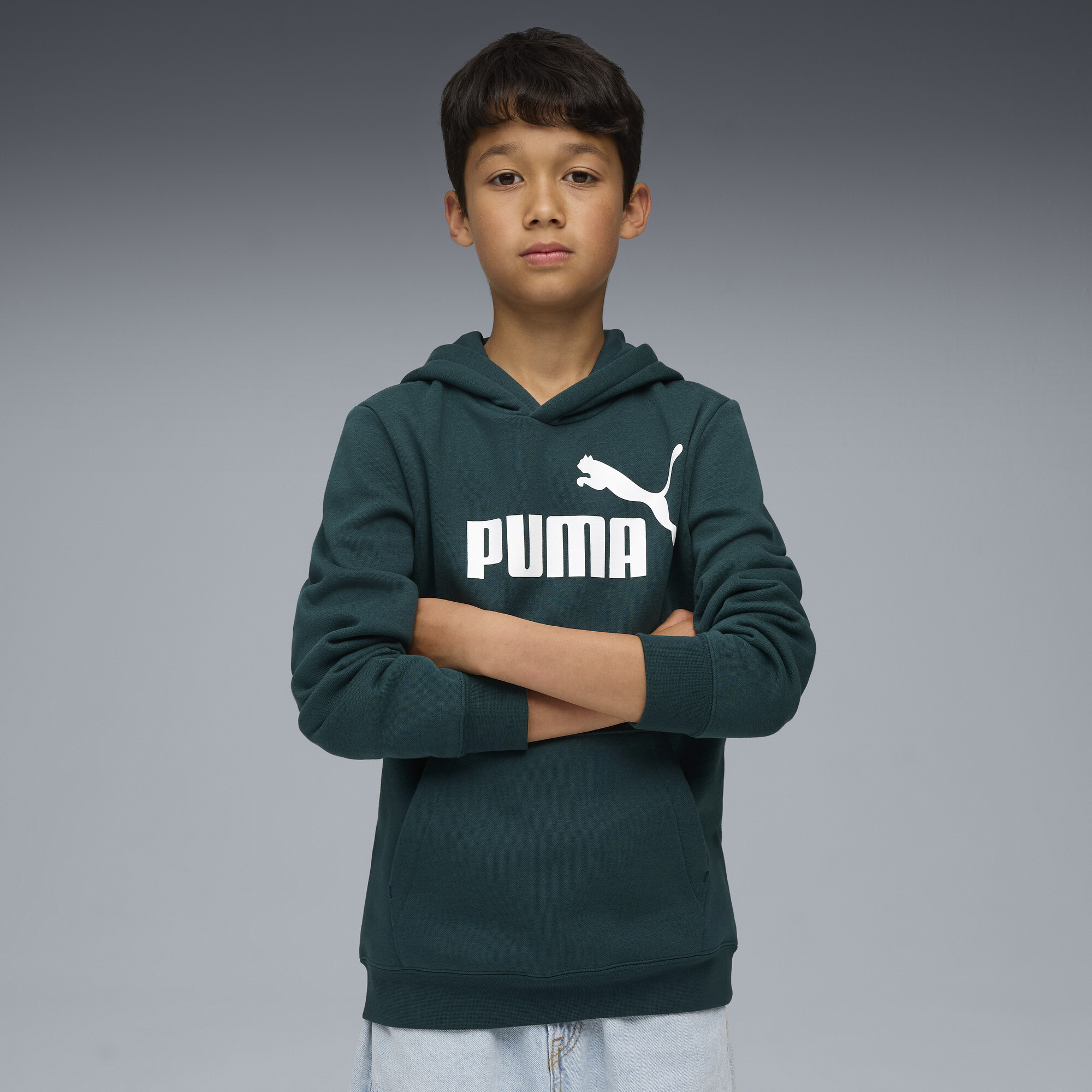 Худи Puma 68490875 - фото 1