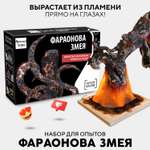 Набор для опытов Простая наука Фараонова змея