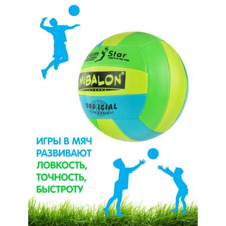 Мяч Veld Co волейбольный размер 5