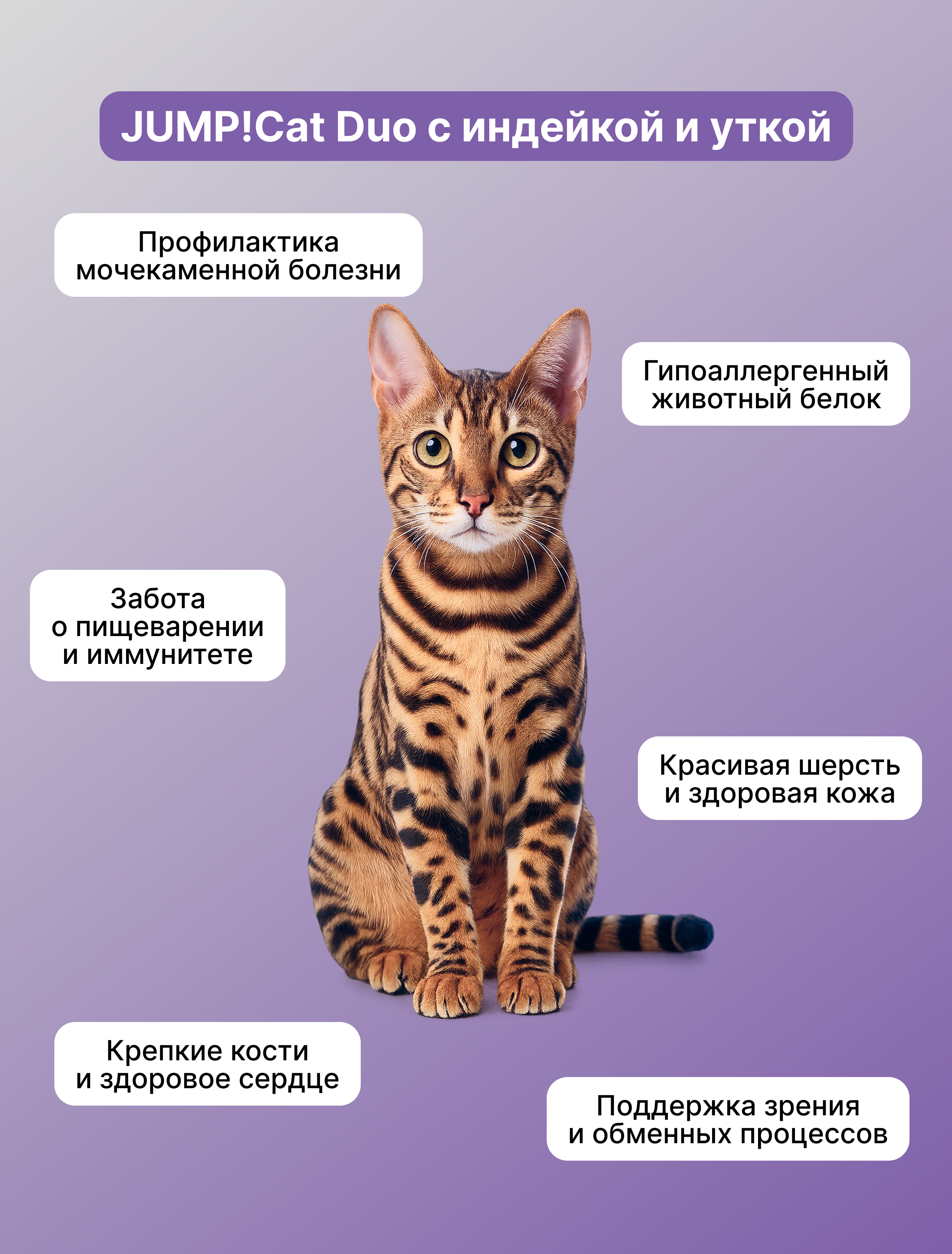 Корм сухой Jump! Для кошек - фото 3