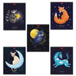 Общая тетрадь Hatber клетка 48 лист. в ассортименте