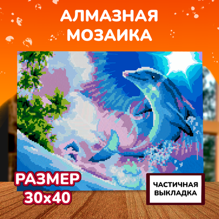 Алмазная мозаика LORI(колорит)