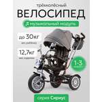 Трехколесный велосипед Velobibi 12 дюймов