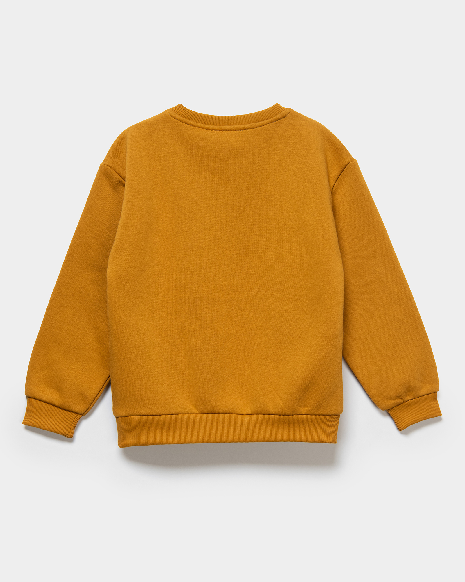 Свитшот Futurino W24FU1-B41Tkb-D3 - фото 3