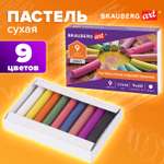 Пастель художественная сухая Brauberg 9 шт.