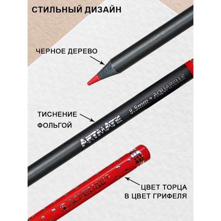 Карандаши акварельные ACMELIAE 13 шт.