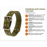 Ошейник Пижон брезентовый двухслойный 82.5х4.5 см