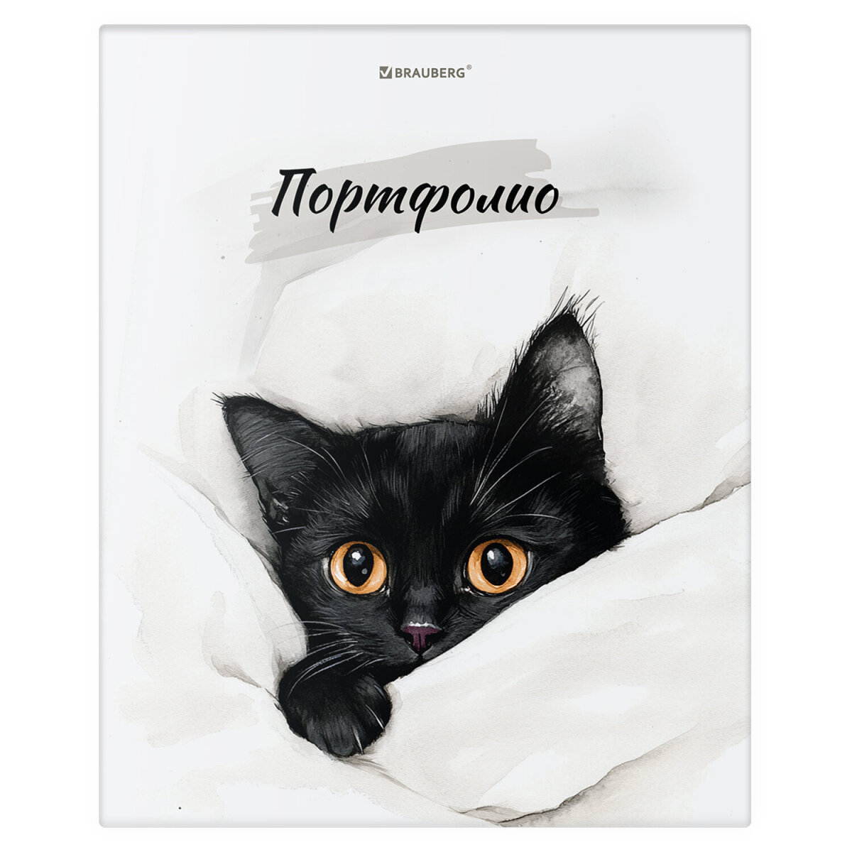 Портфолио школьника Brauberg папка А4 на кольцах 20 файлов для девочки и мальчика - фото 2