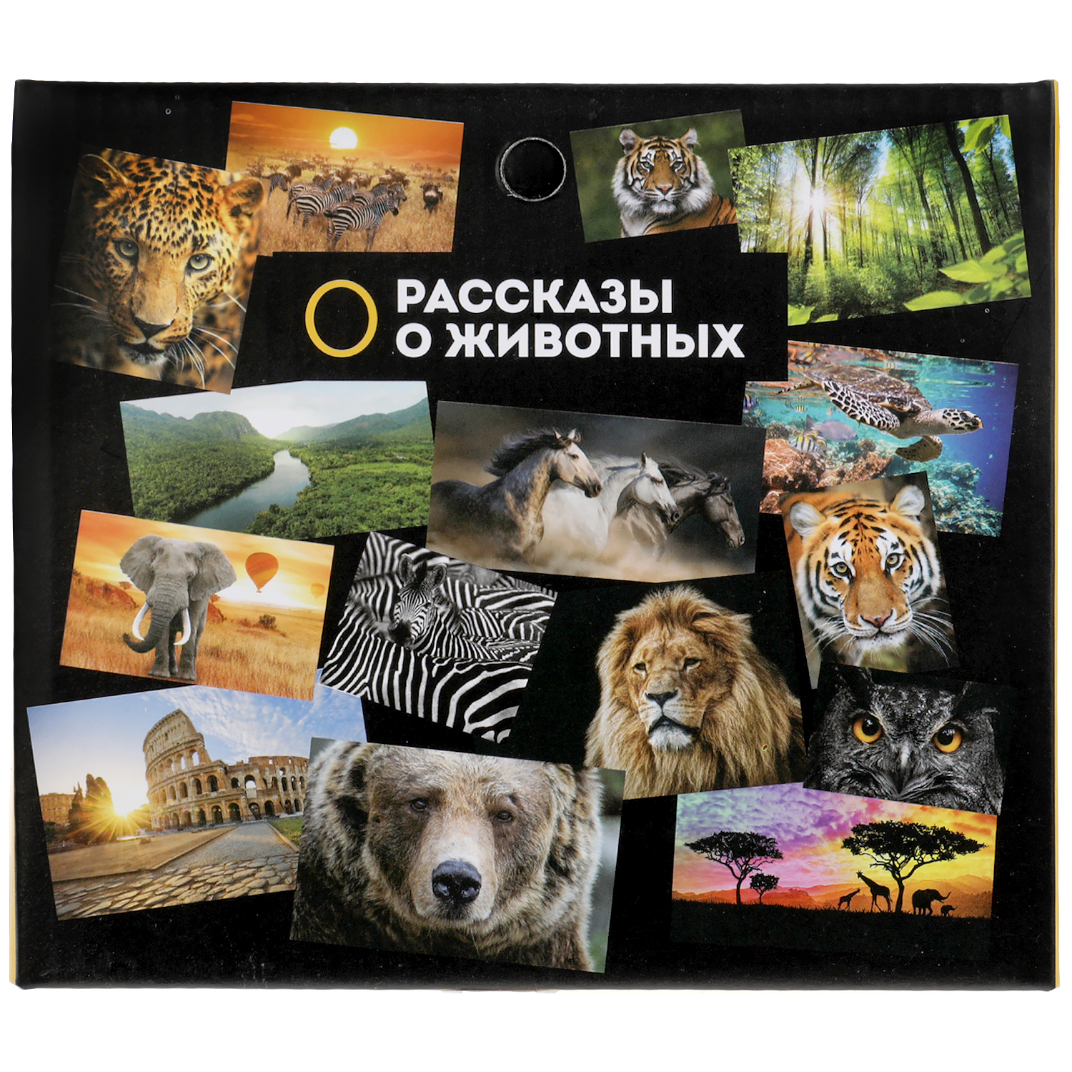 Игрушка Играем вместе - фото 7