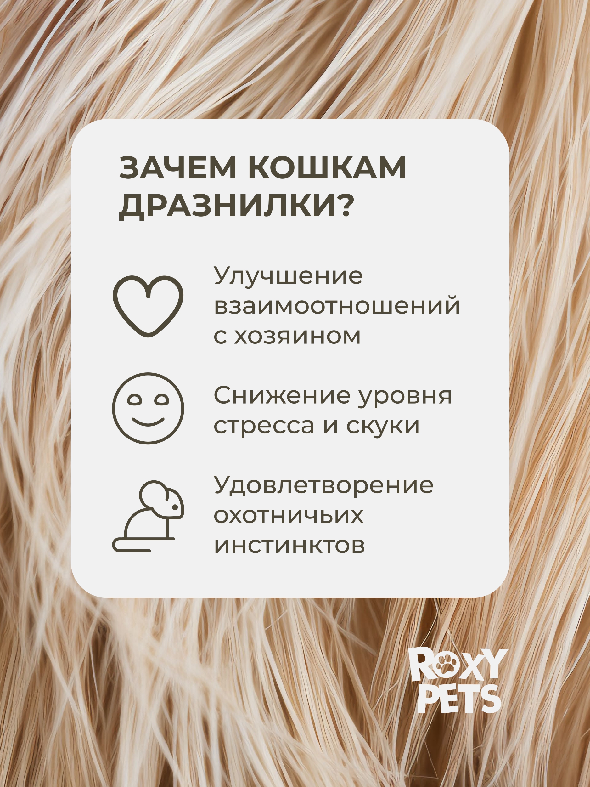 Игрушка ROXY PETS Дразнилка для кошек - фото 3