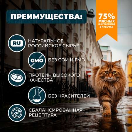 Корм для кошек Родные корма профилактика МКБ По-ленинградски говядина-морковка кусочки в соусе 85г
