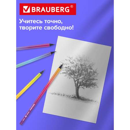 Карандаши чернографитные Brauberg 72 шт.