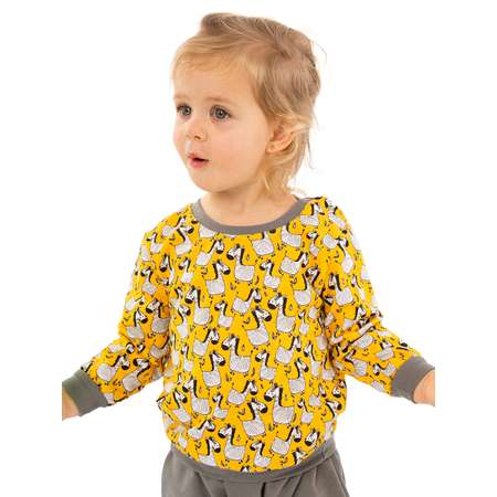 Свитшот и брюки Baby Stylе