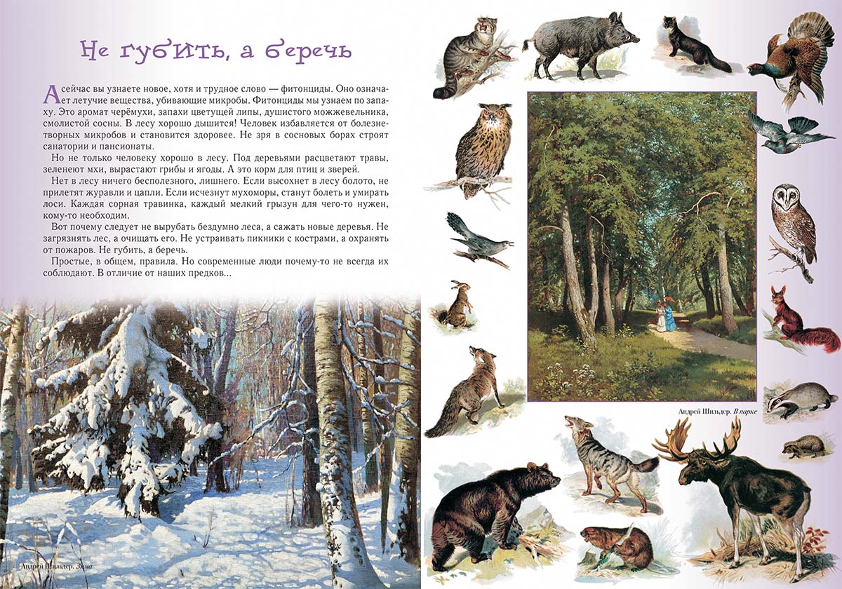 Книга Белый город Прогулки по лесу. - 2-е изд. - фото 2