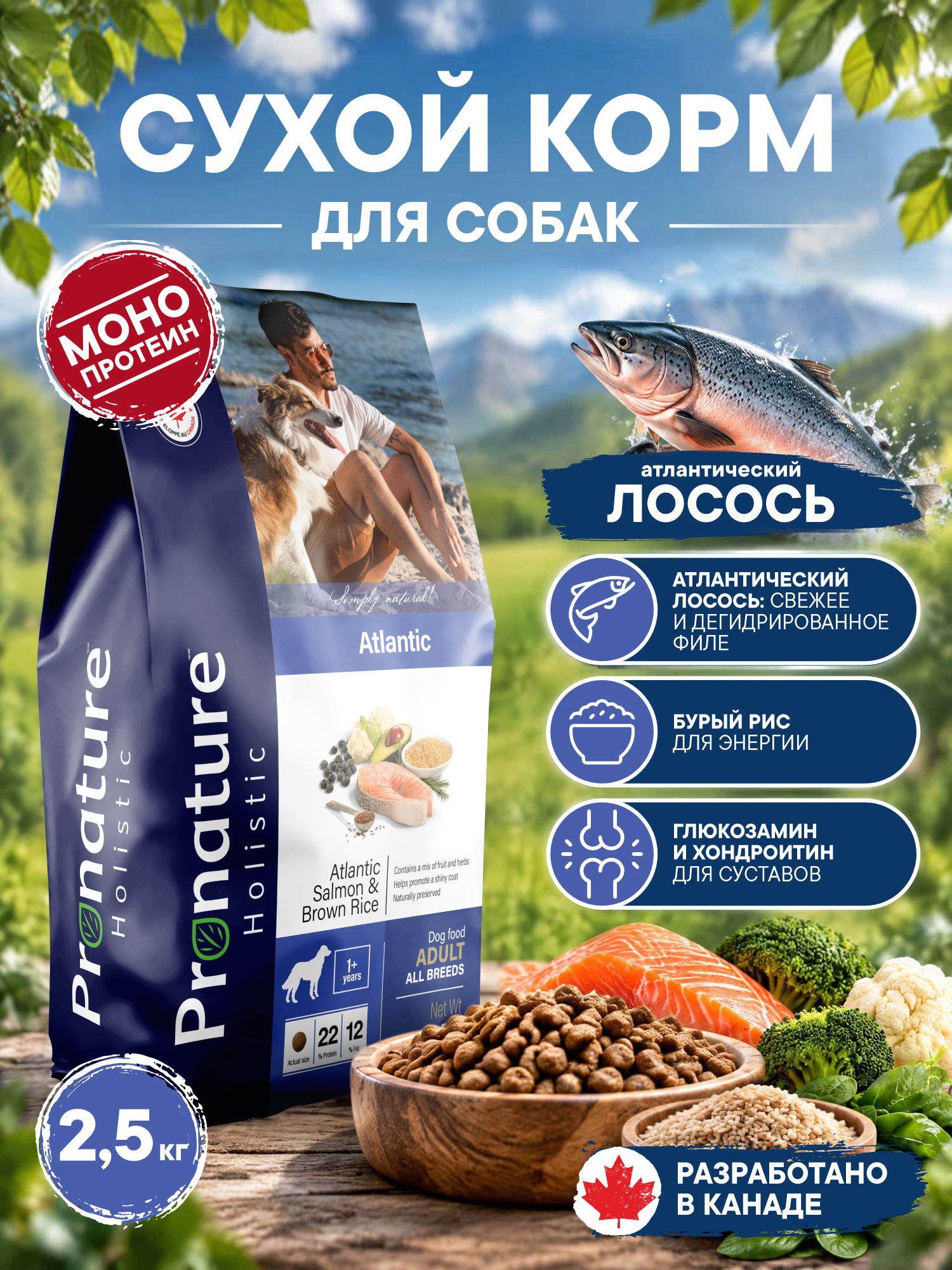 Корм для собак сухой Pronature Holistic Atlantic для кожи и шерсти на лососе с рисом 2.5кг - фото 1