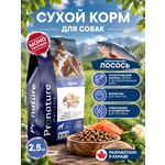 Корм для собак сухой Pronature Holistic Atlantic для кожи и шерсти на лососе с рисом 2.5кг