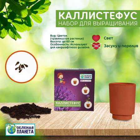 Набор для выращивания ЗЕЛЕНАЯ ПЛАНЕТА