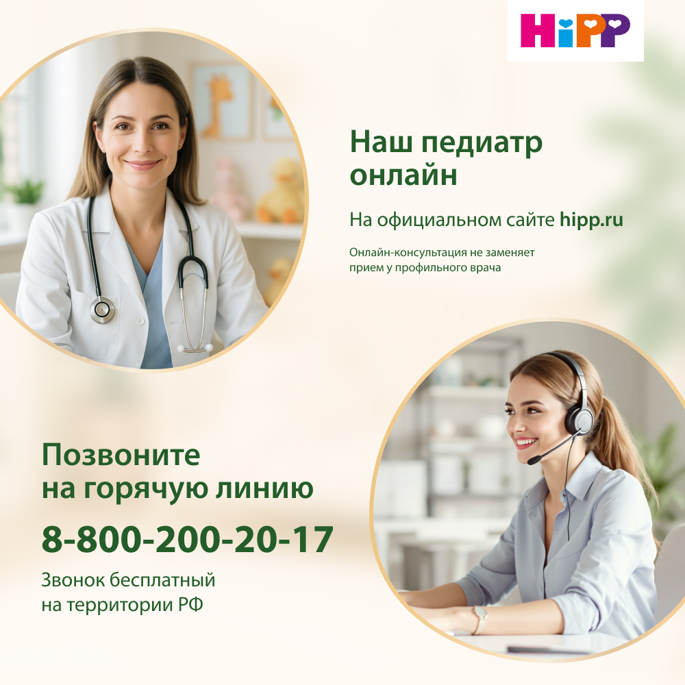 Смесь молочная Hipp 3 Combiotic 600г с 10месяцев - фото 14